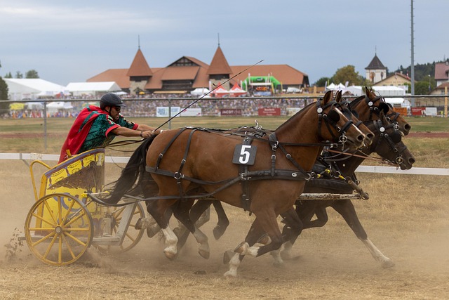 這些孩子往 這些孩子往