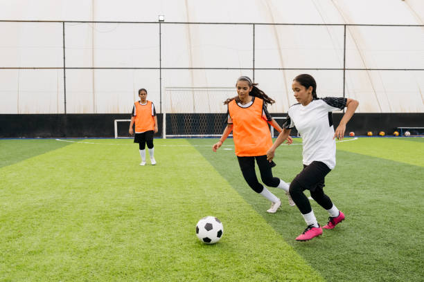 不断适应新 不断适应新